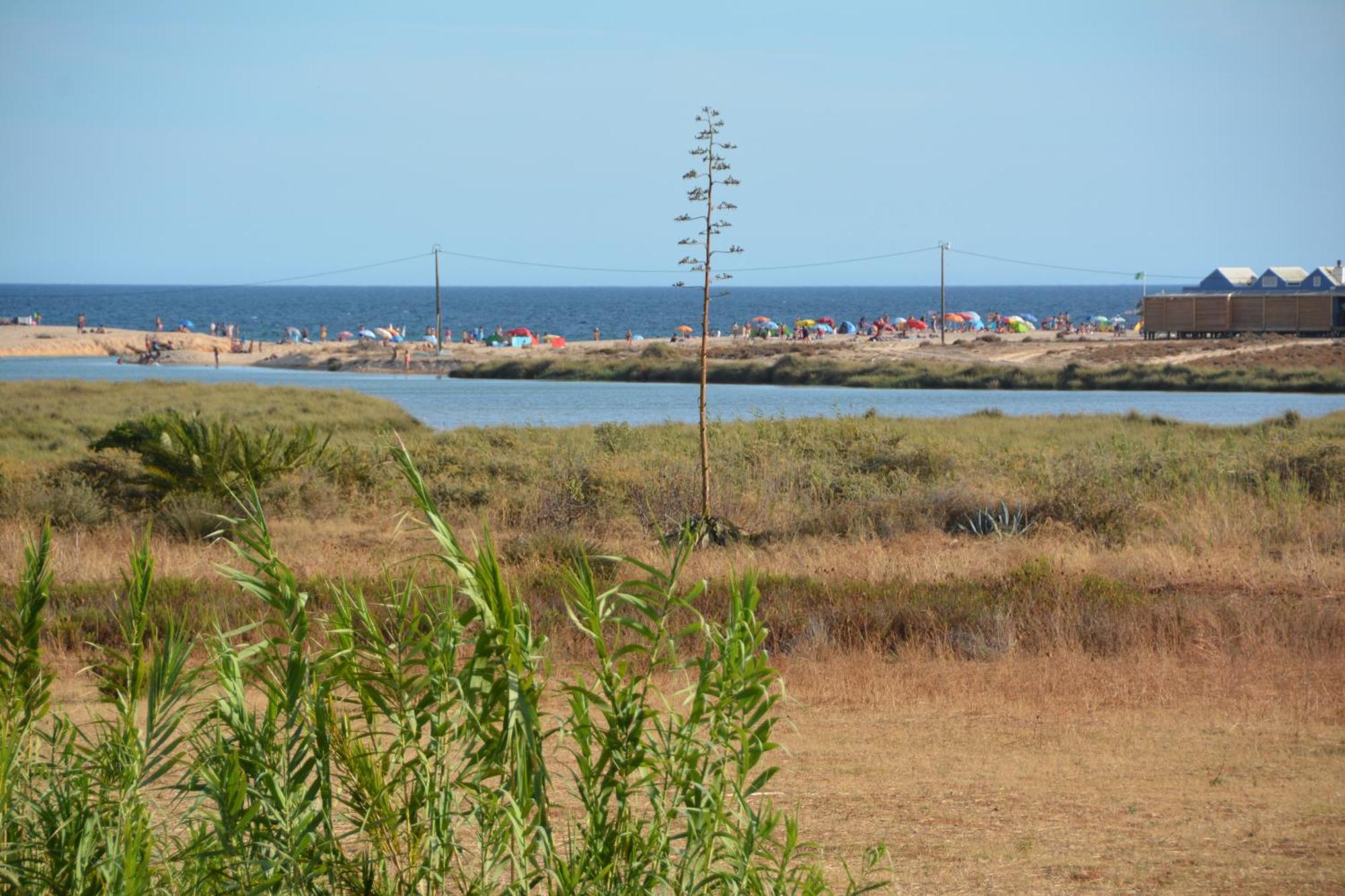 Praia Dria Armacao de Pera Bagian luar foto